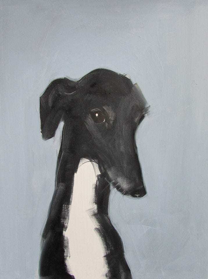 an acrylic painting of a black grayhold with a white underbelly; the grayhound is looking coyly at the camera