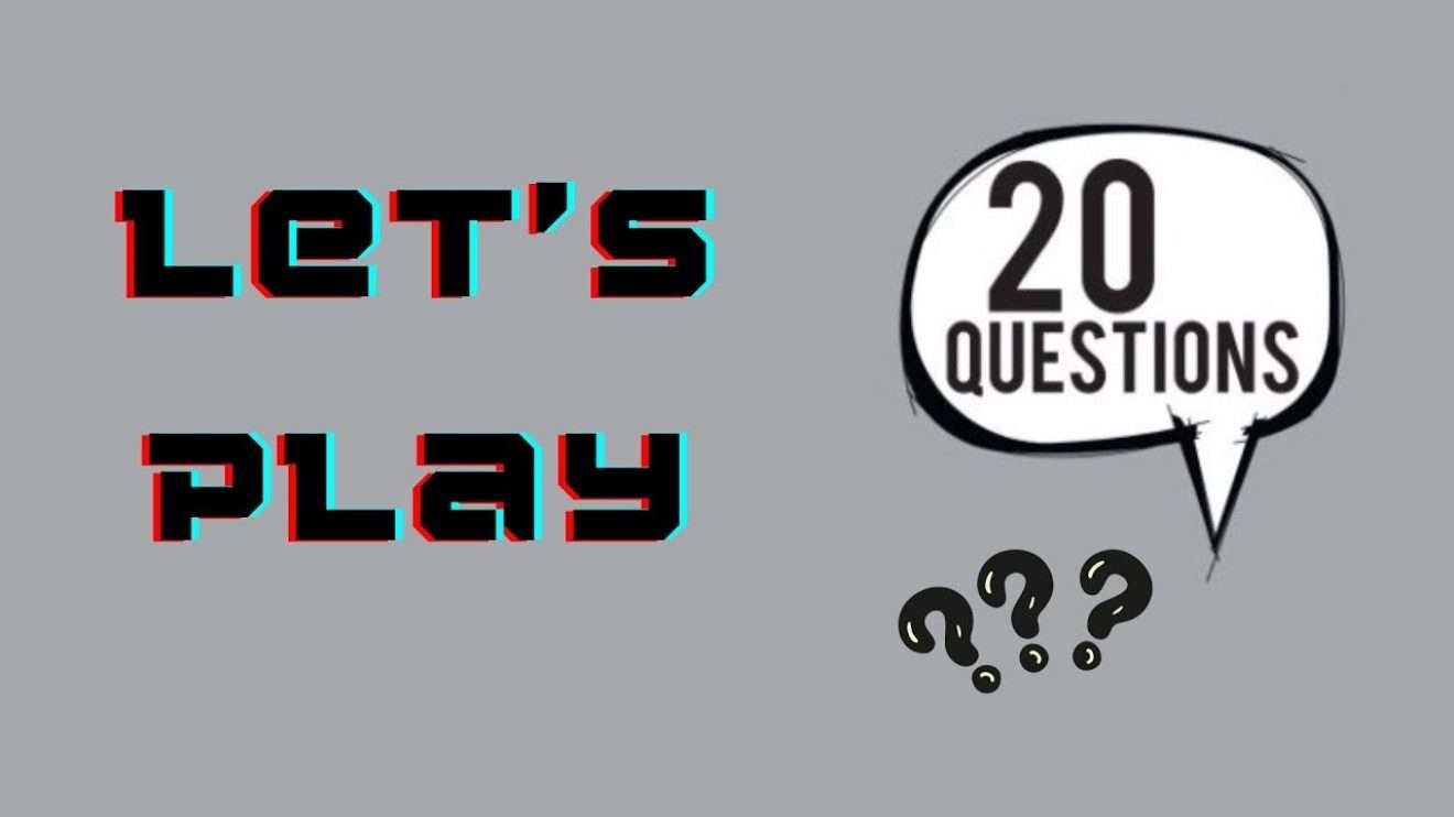 Play 20 Questions