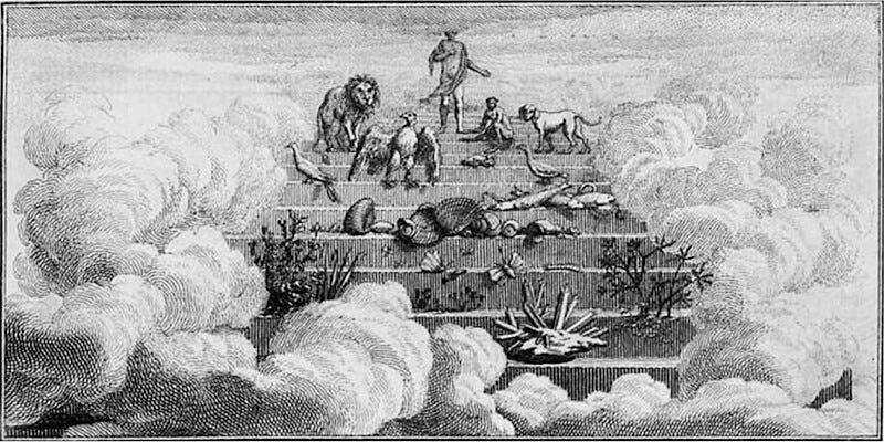 Datei:Kette der Wesen, Scala Naturae, Charles Bonnet (1781).jpeg
