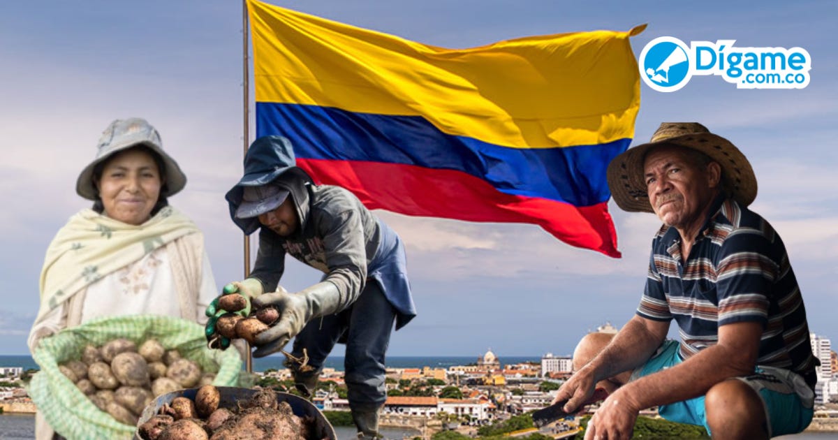 Colombia, el país más madrugador del mundo, ¿Qué dice la gente? -  Digame.com.co