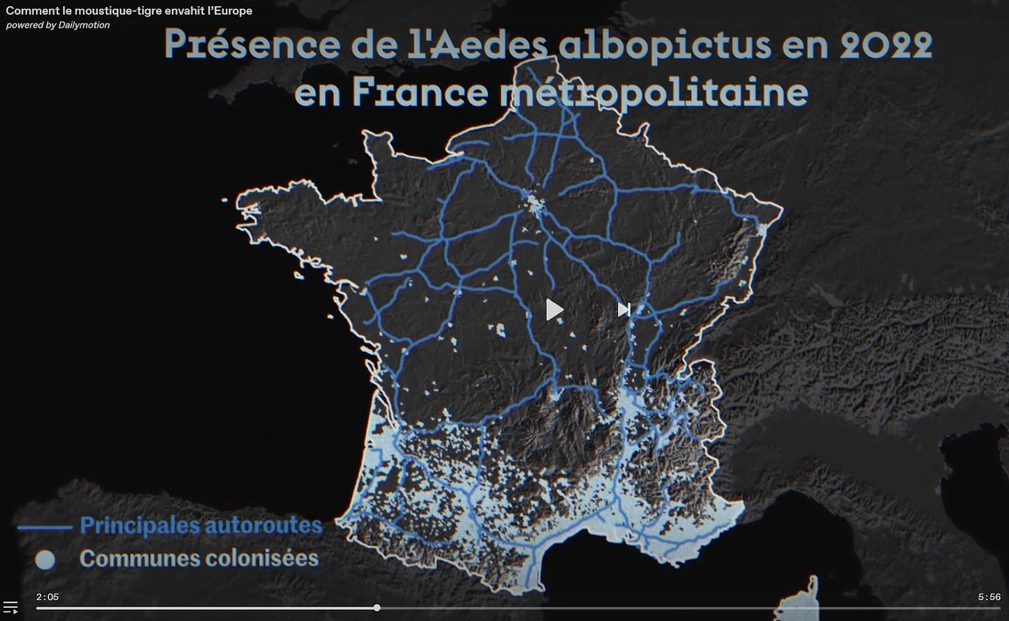 Map of the road network of France overlayed with the presence of tiger mosquito.