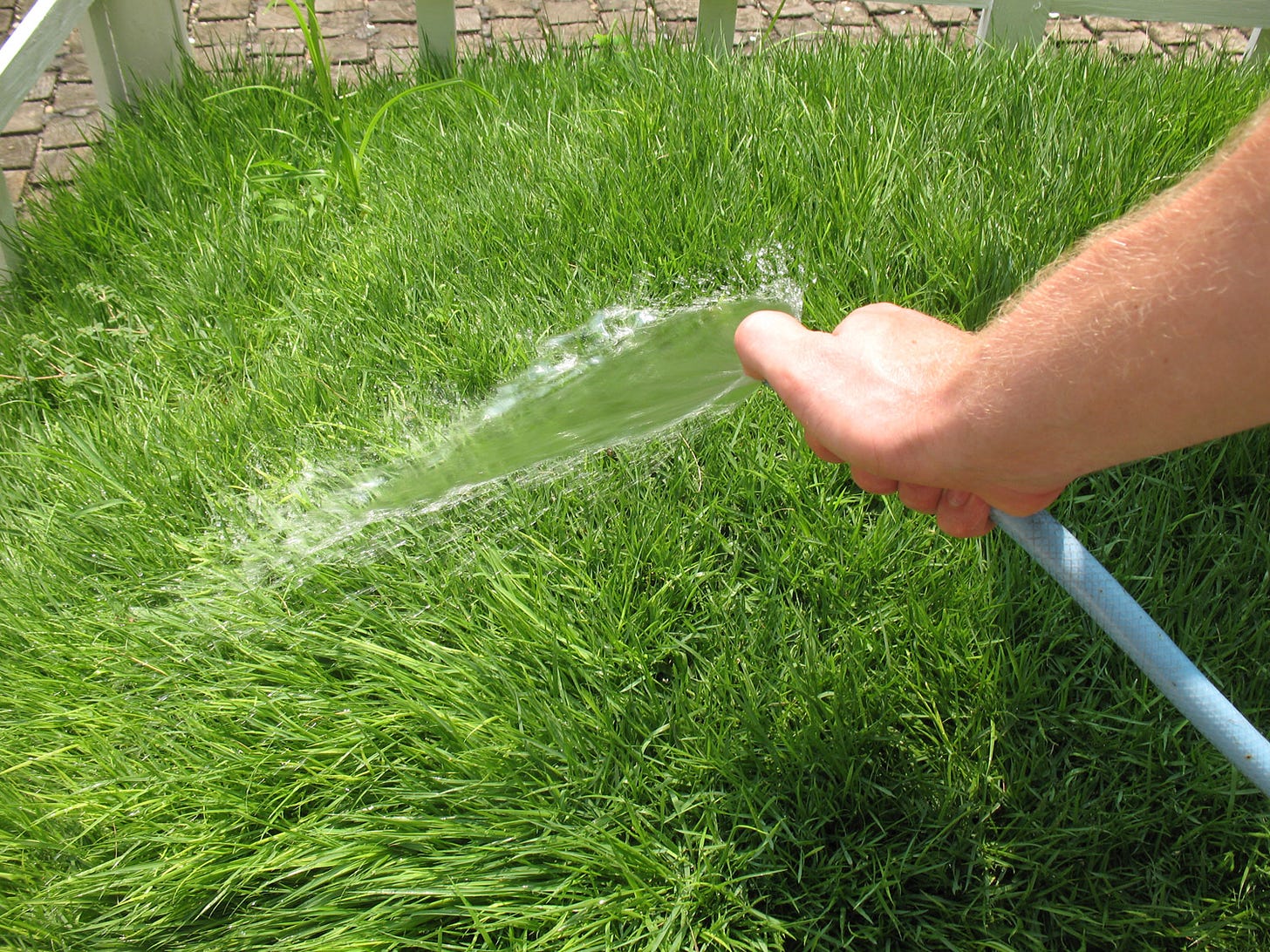 7 Tips for Green, Lush Grass – Better HouseKeeper