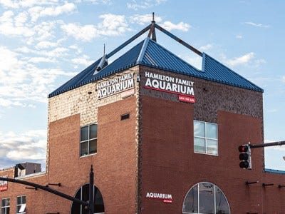 Save The Bay’s new Hamilton Family Aquarium will open on March 28