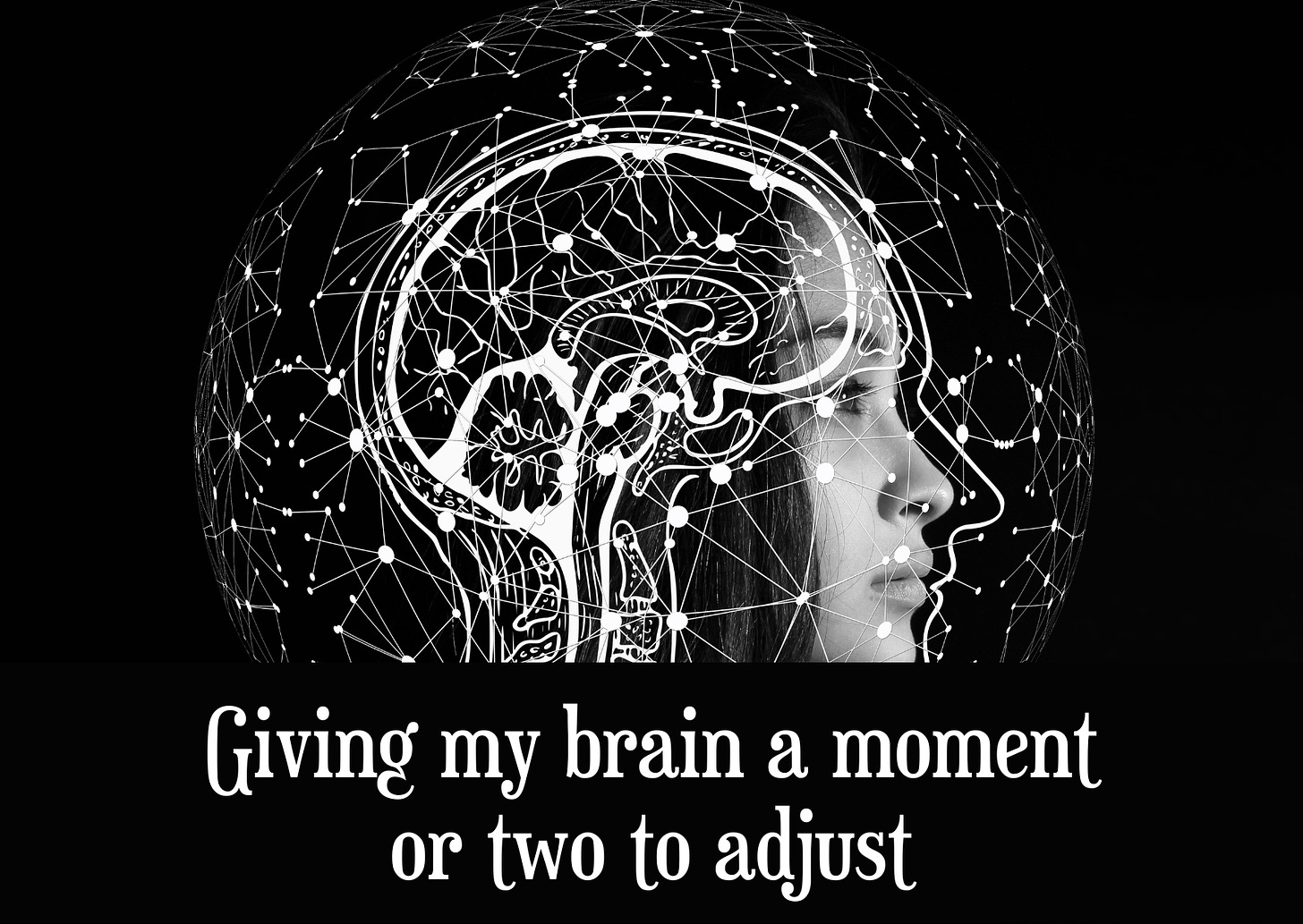 Header image showing a photo of the side profile of a woman with a sketch of a brain and skull superimposed and surrounded by a lattice-work sphere on a black background with the text giving my brain a moment or two to adjust.