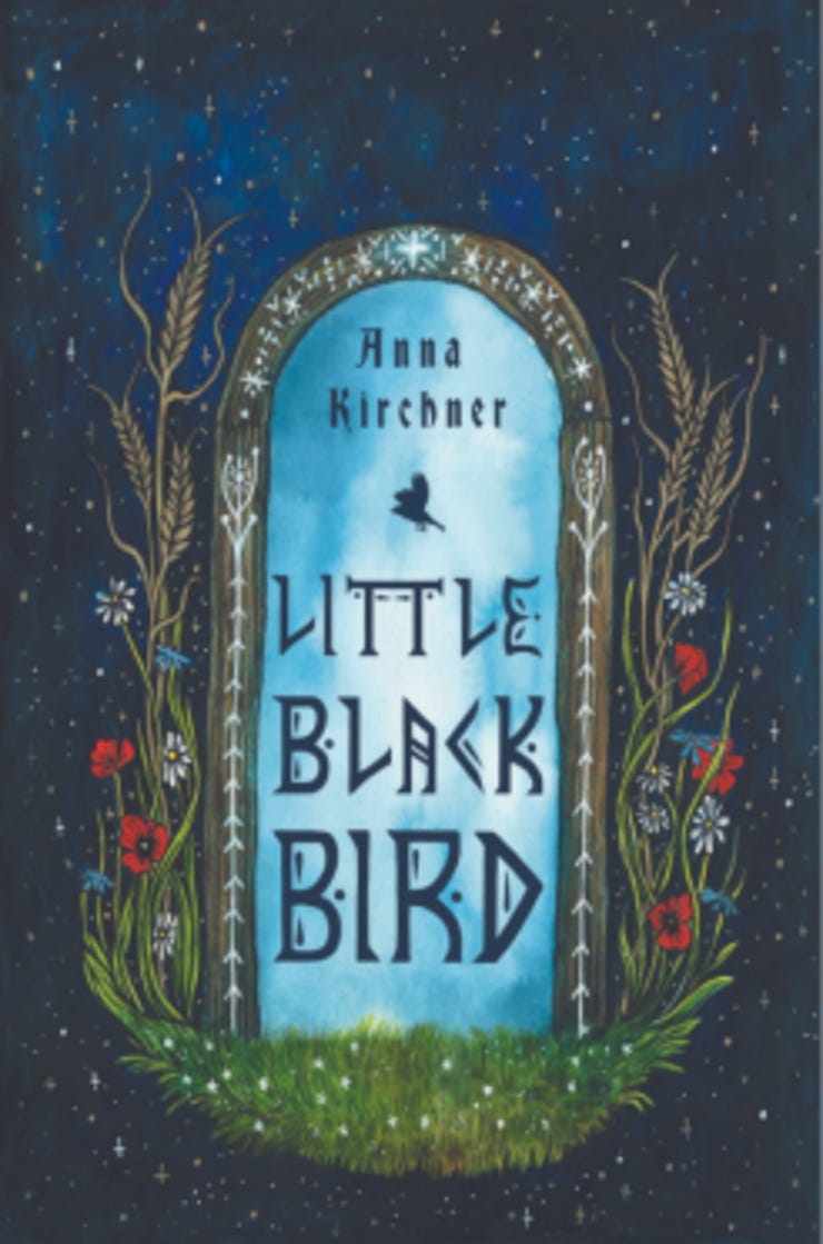 The cover of Little Black Bird by Anna Kirchner