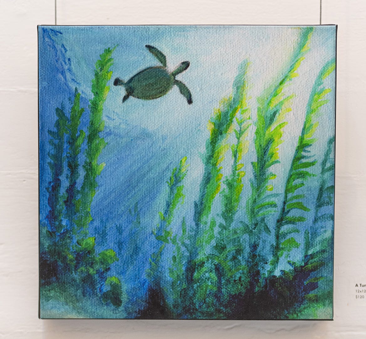 Canvas hanging in a gallery space of an underwater view looking up towards the surface. A sea turtle swims across the scene amid tall stands of kelp.