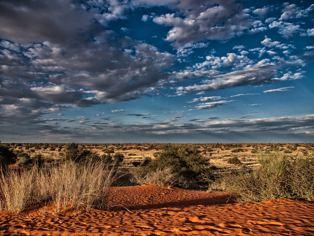 Central Kalahari Game Reserve, Pure Untamed Africa – Travel Adventures ...