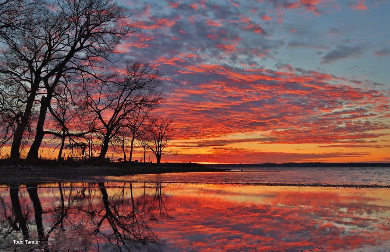 May be an image of nature, body of water, tree, horizon and twilight May be an image of nature, body of water, tree, horizon and twilight