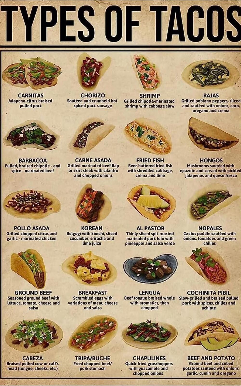 20 Types of Tacos You Must Know | Daily Infographic