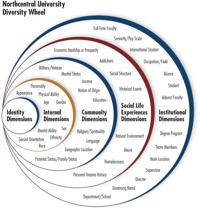 A Look at Diversity Wheels | Living the Learning Curve