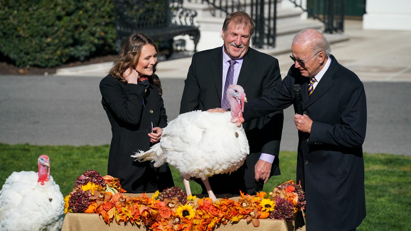 Biden celebrates 'no ballot stuffing' at Thanksgiving turkey pardon  ceremony | The Hill