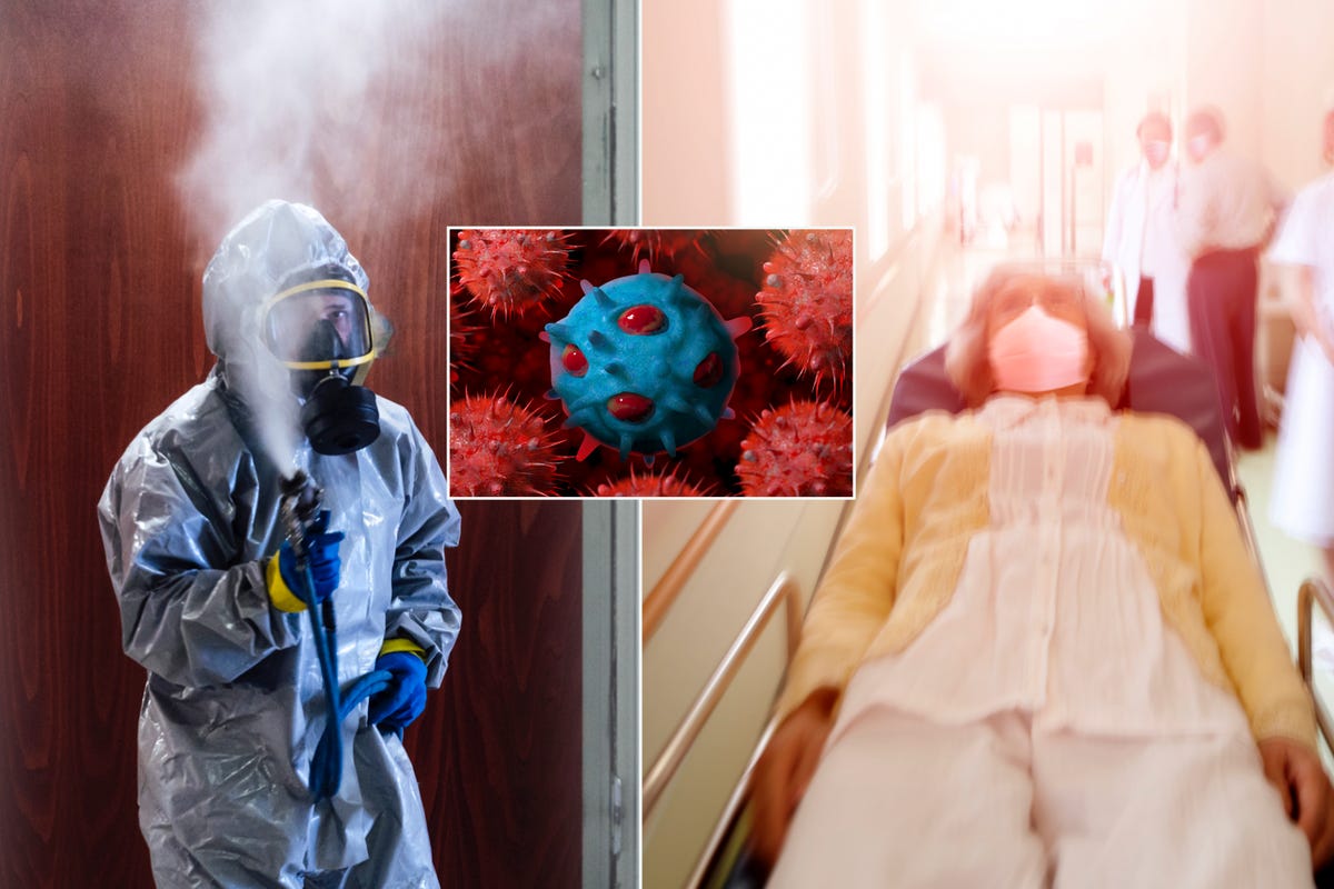 Composite image of a man in a hazmat suit (left), illustration of bird flu (middle) and woman in a hospital bed (right)