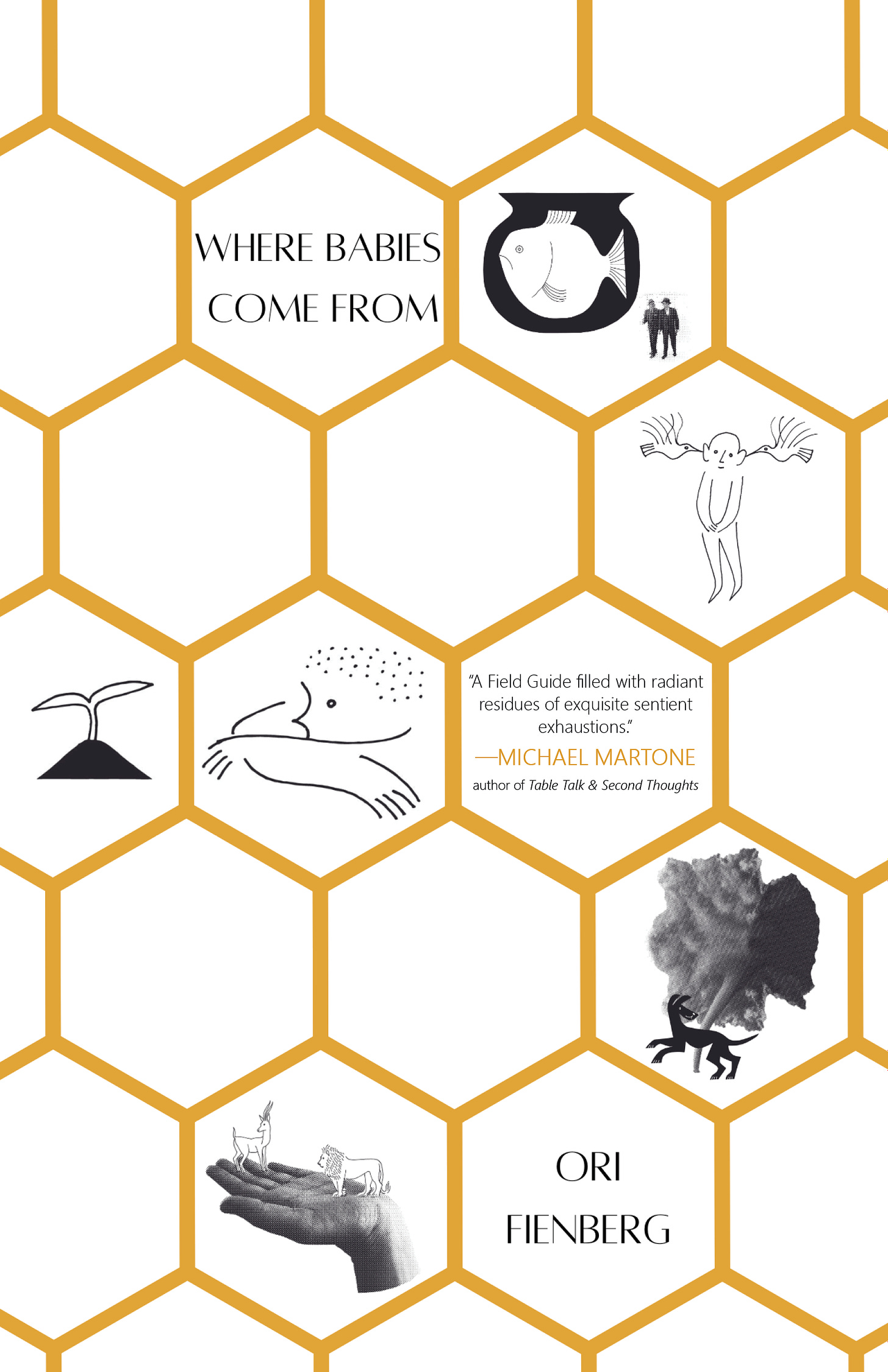 cover of where babies come from, with a blurb from michael martone