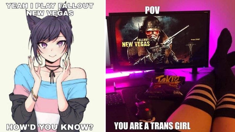 How 'Fallout: New Vegas' Became One Of The Trans Community's Favorite Video  Games | Know Your Meme