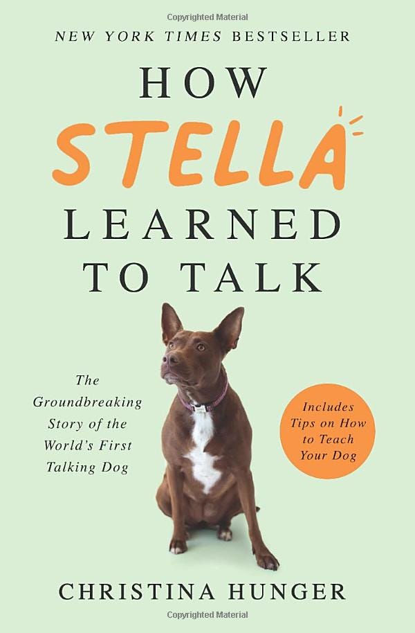 Book cover for "How Stella Learned to Talk"