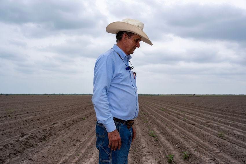 Mike England surveys a field on his farm near Mercedes on April 18, 2024. England had to destroy destroy 500 acres worth of sugar cane he'd grown because of drought in the Rio Grande Valley.