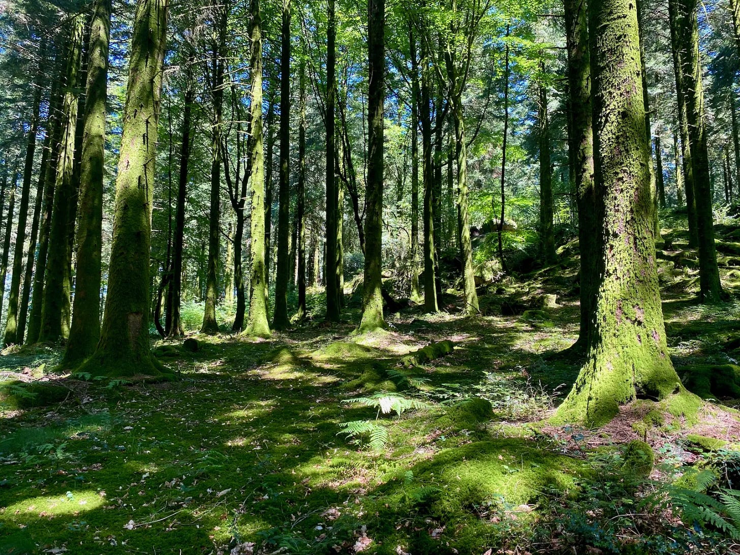 Après Guéret Après Guéret