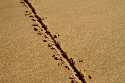 What Is Your Line In The Sand? (Updated) | The Heidelblog