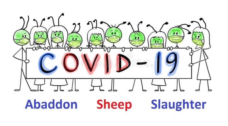 album-5-c-3abadon-ovidsheep--19-storngs-19-slaughter-color-abadon-sheep-slaughter.jpg