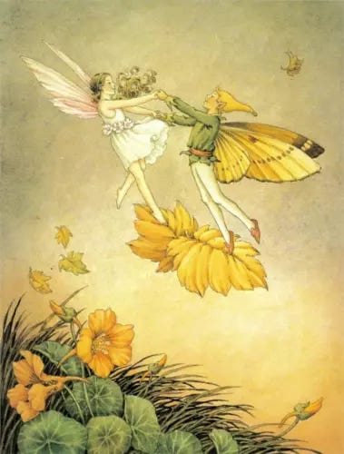 Ida Rentoul Outhwaite two Fairies danicing on a Leaf - Picture 1 of 1