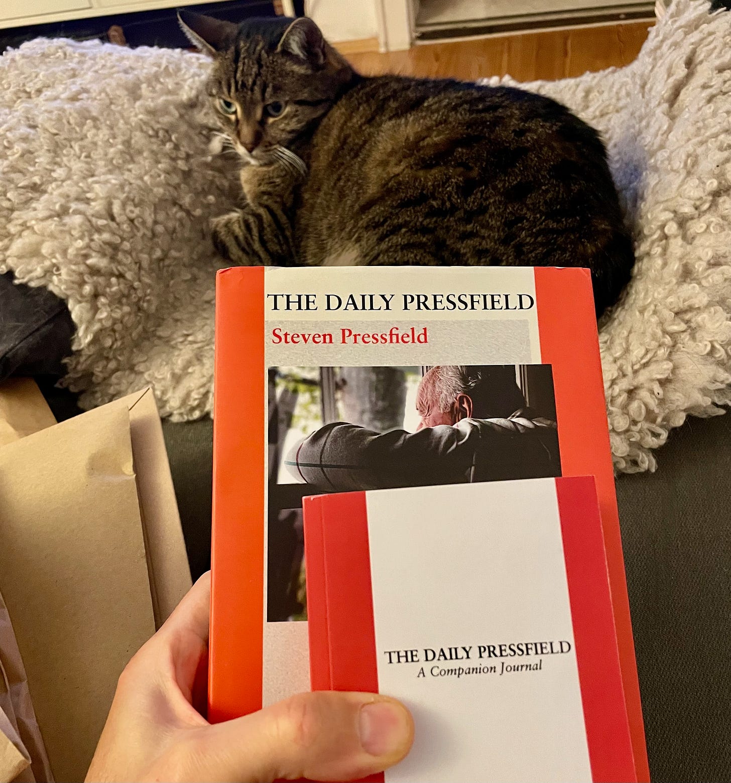 the author holding steven pressfields book in his hand with his cat harry in the background