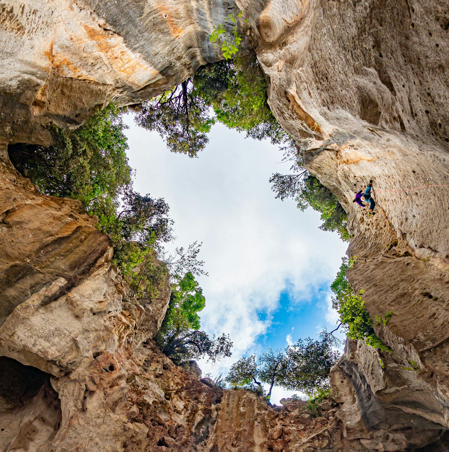 View from cave looking straight up at tilting trees on the rim