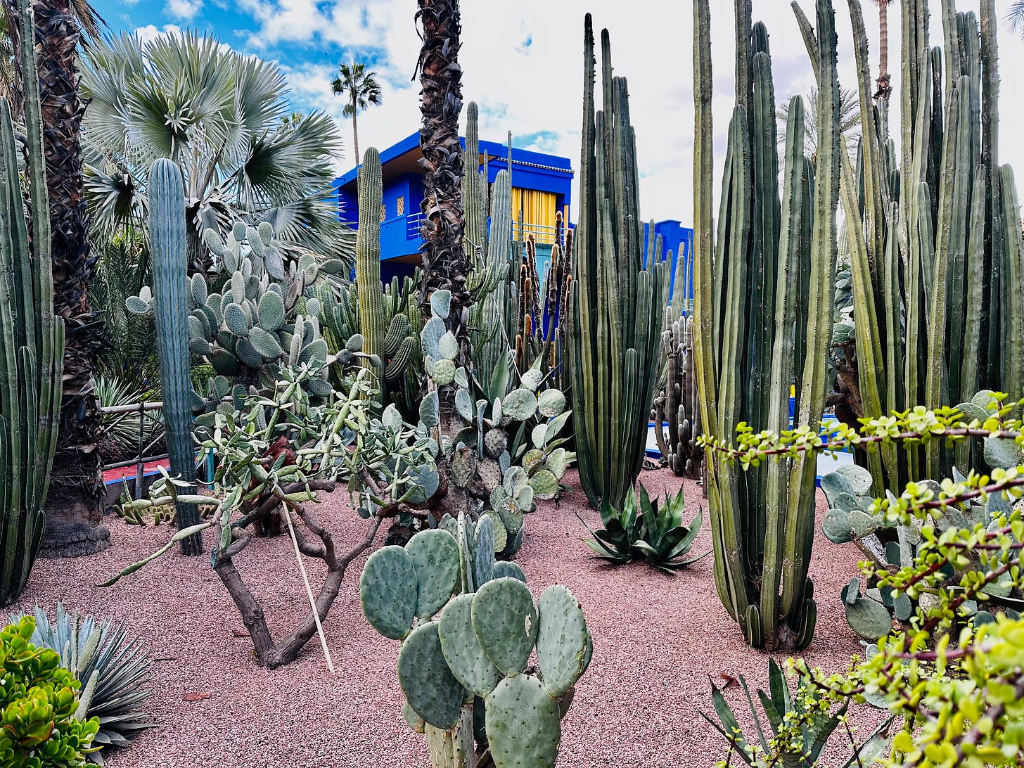 Jardin Majorelle, Marrakesh, Morocco 