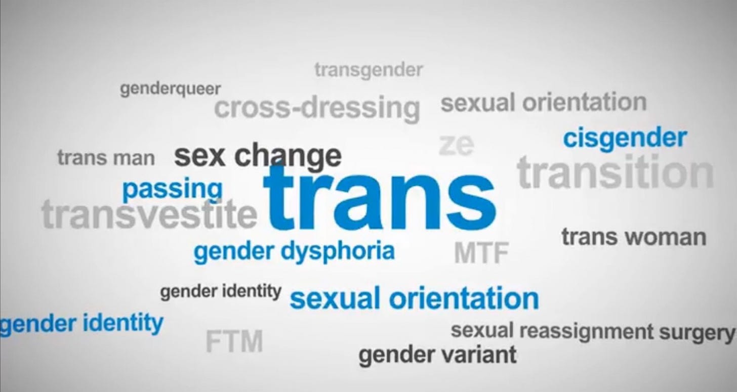 Transgender terms: Breaking down definitions and dos and don'ts - Good Morning America