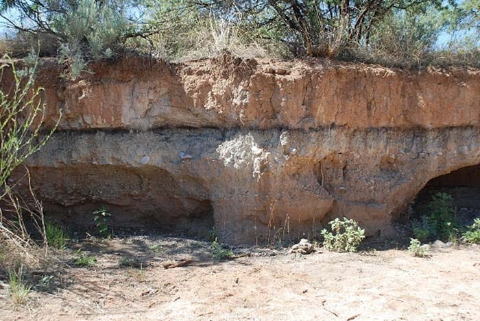 The Younger Dryas boundary at Murray Springs. (Image: Courtesy of the Comet Research Group)