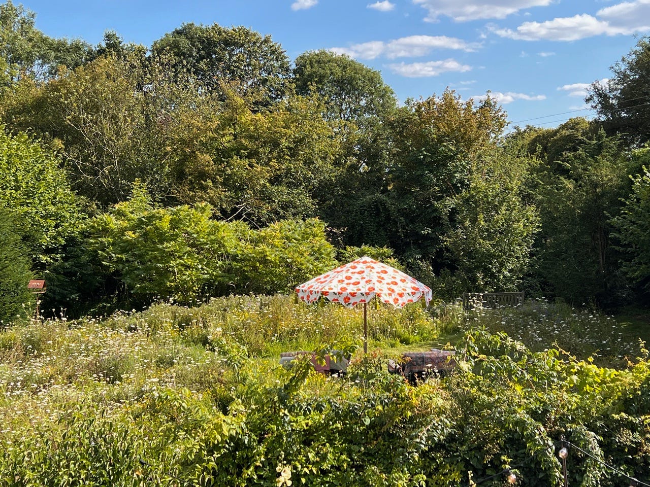 wildflower meadow with a table and a pretty floral umbrella