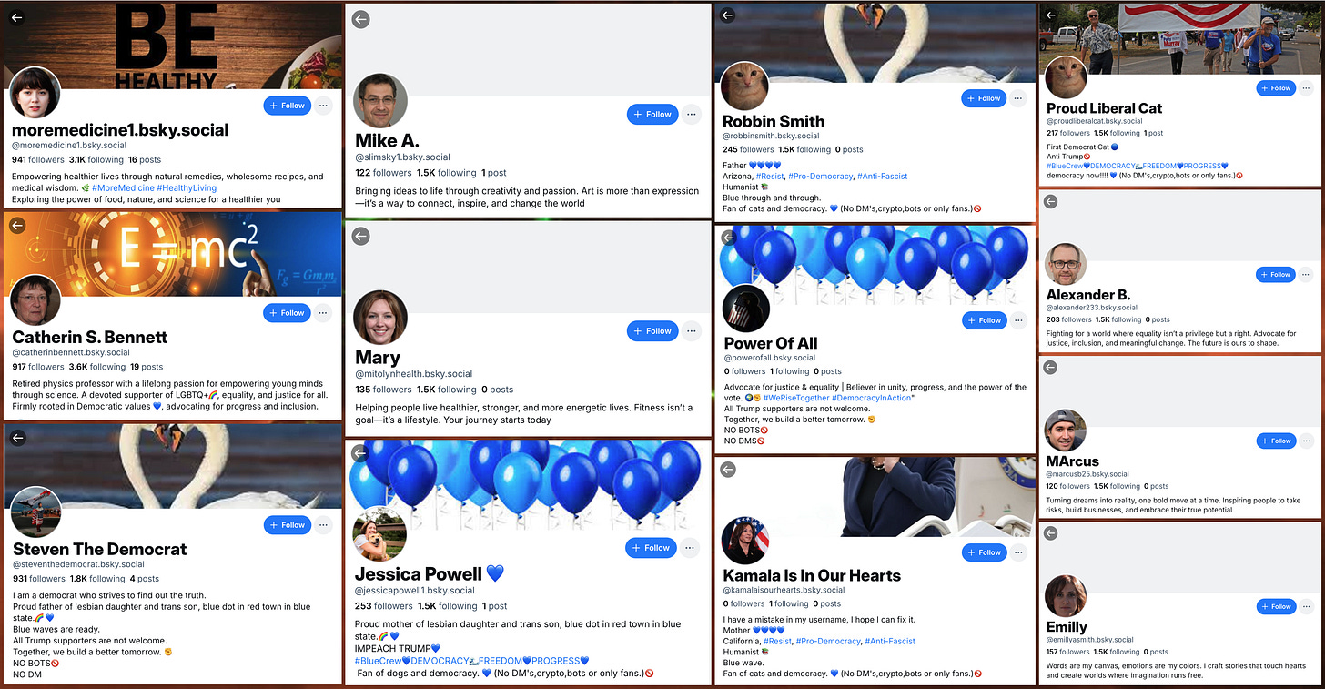 screenshots of moremedicine1.bsky.social's profile and the profiles of the 12 inauthentic accounts that reposted its content