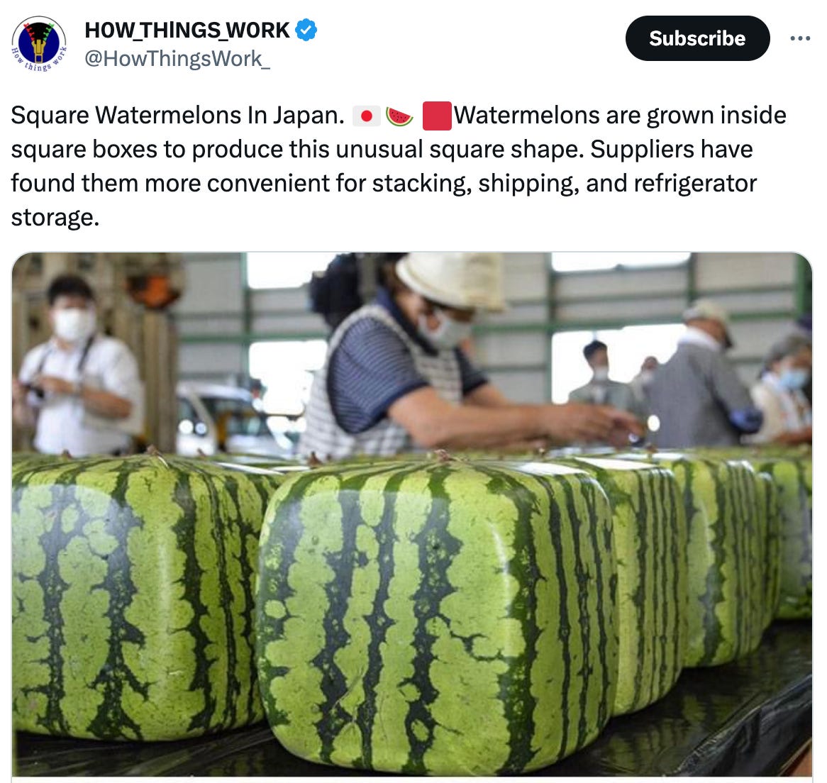  See new Tweets Conversation H0W_THlNGS_W0RK @HowThingsWork_ Square Watermelons In Japan. 🇯🇵🍉 🟥Watermelons are grown inside square boxes to produce this unusual square shape. Suppliers have found them more convenient for stacking, shipping, and refrigerator storage.