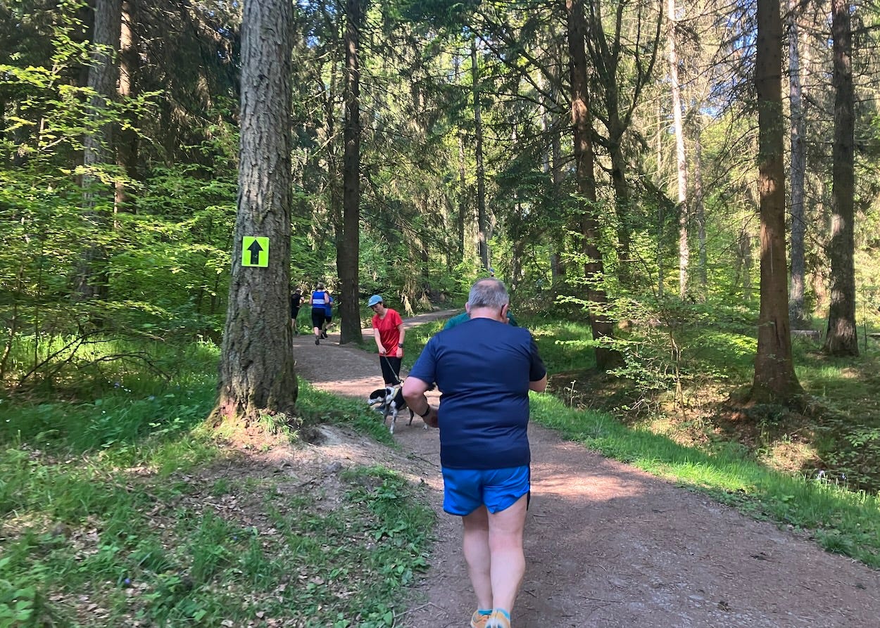An arrow on a tree marks the route as runners run uphill past trees