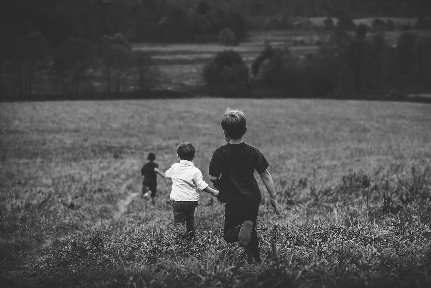 Three children run through a field, backs to the camera.