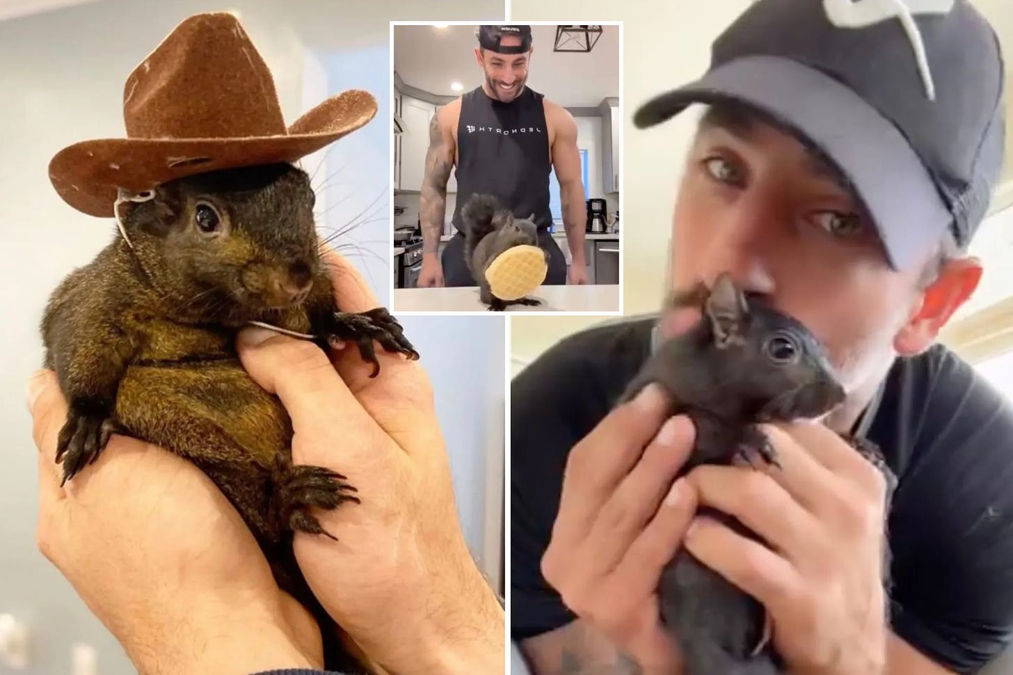 Peanut the Squirrel, beloved pet and internet sensation, put to death by  New York State