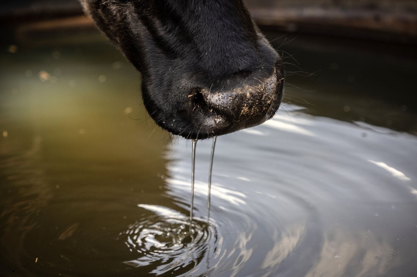 relates to Extreme Drought Is Wreaking Havoc on Daily Life in Spain