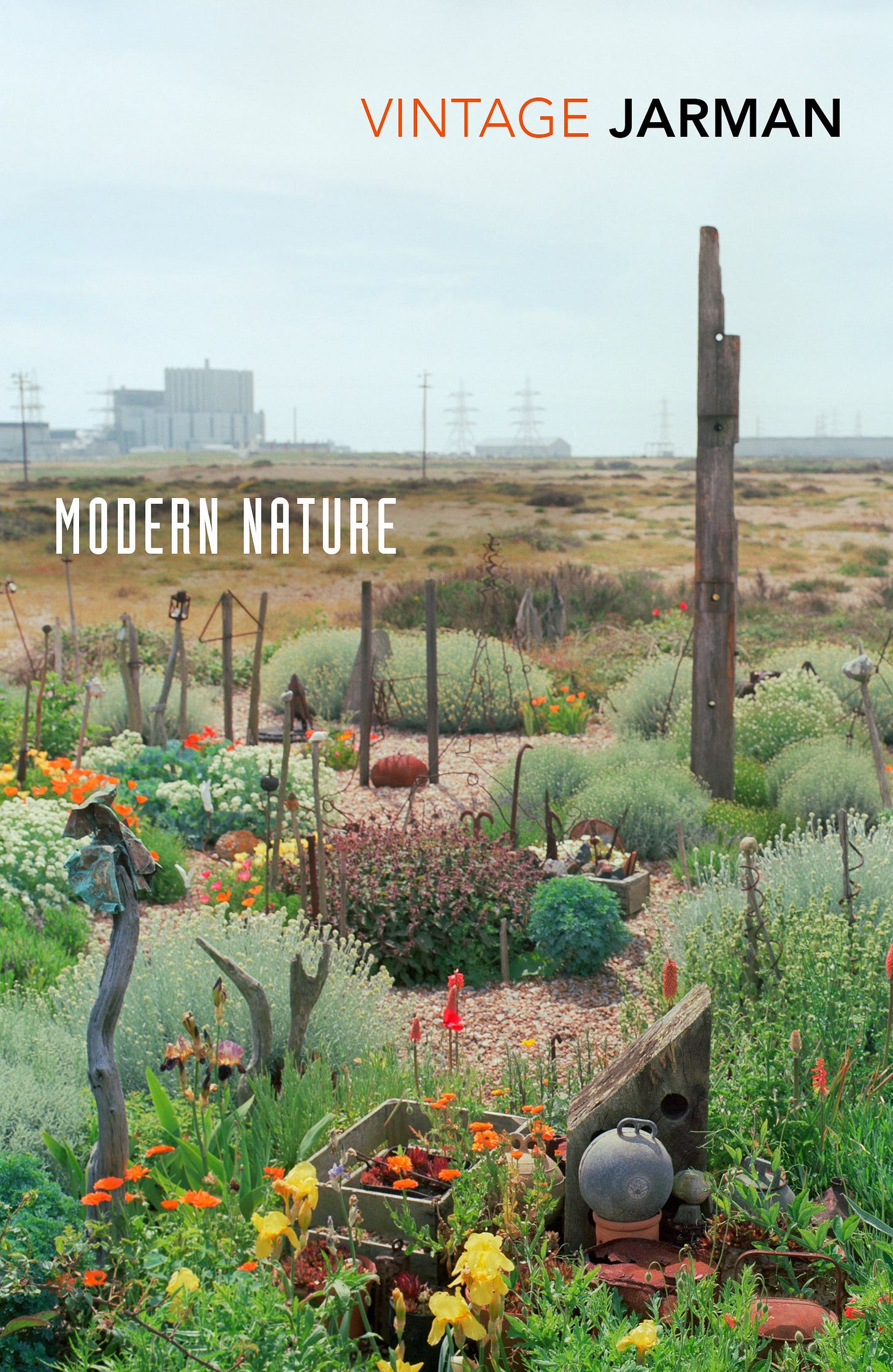 Modern Nature: Journals, 1989 – 1990 (The Journals of Derek Jarman, 1) :  Jarman, Derek, Laing, Olivia: Amazon.co.uk: Books