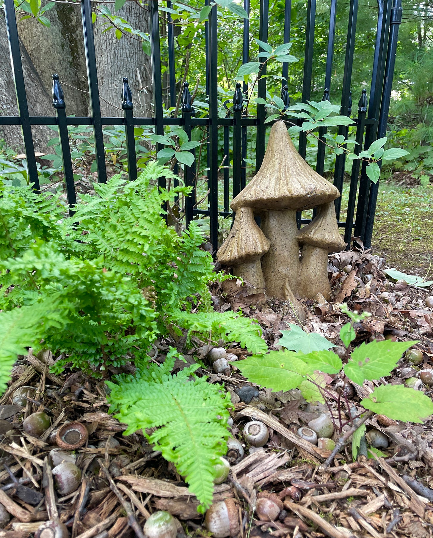 Fern and my mushroom sculpture surround by storm-felled acorns outside of the Children’s Corner garden.