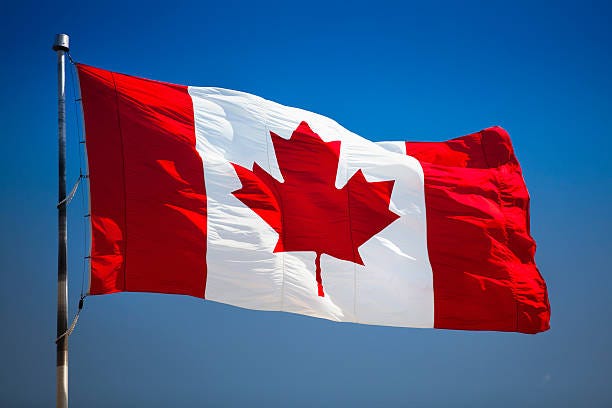 2,400+ Canadian Flag In Wind Stock Photos, Pictures ...