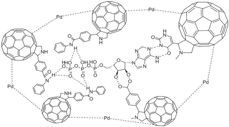 Figure 6.Amide, carboxyl, and uracil modified fullerene polymers for ATP imprinted sensor.