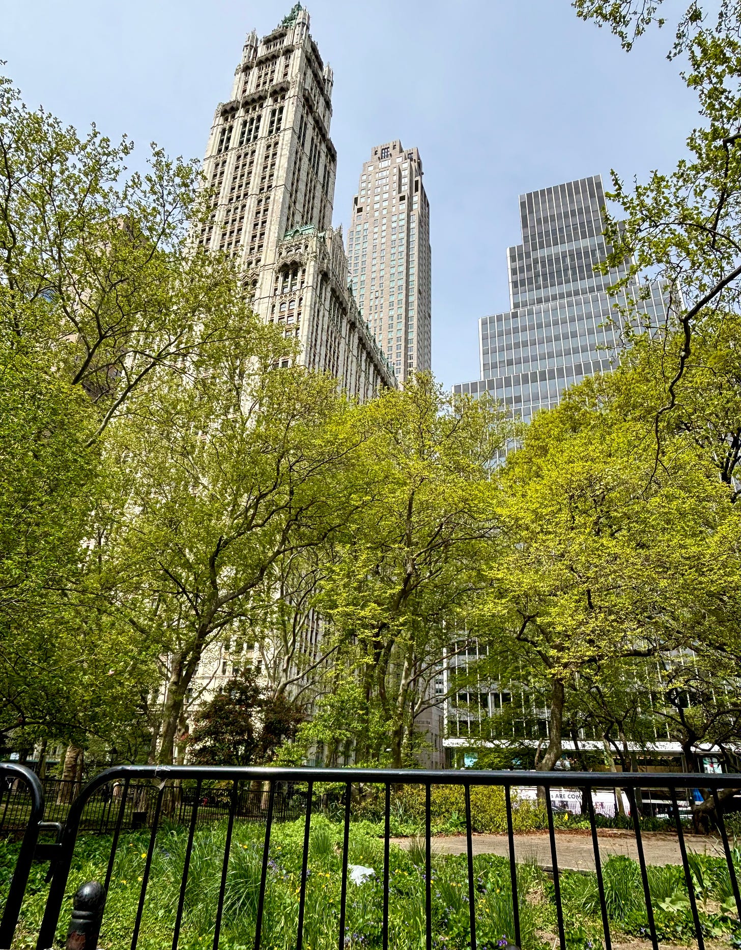 The Woolworth Building standing over City Hall Park. A slab of concrete is covering something on the park ground blocked by a black railing.