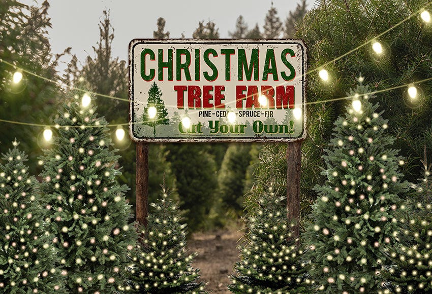 Christmas Tree Farm String Lights Backdrop for Photography D830 –  Dbackdropcouk