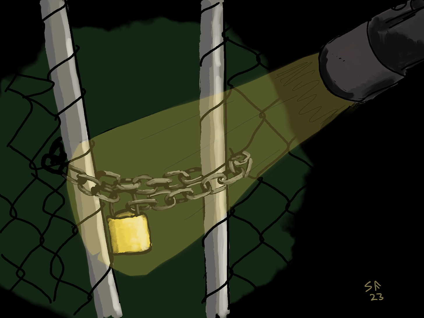 Cartoon: the beam of a torch illuminates a wire gate, chained and padlocked