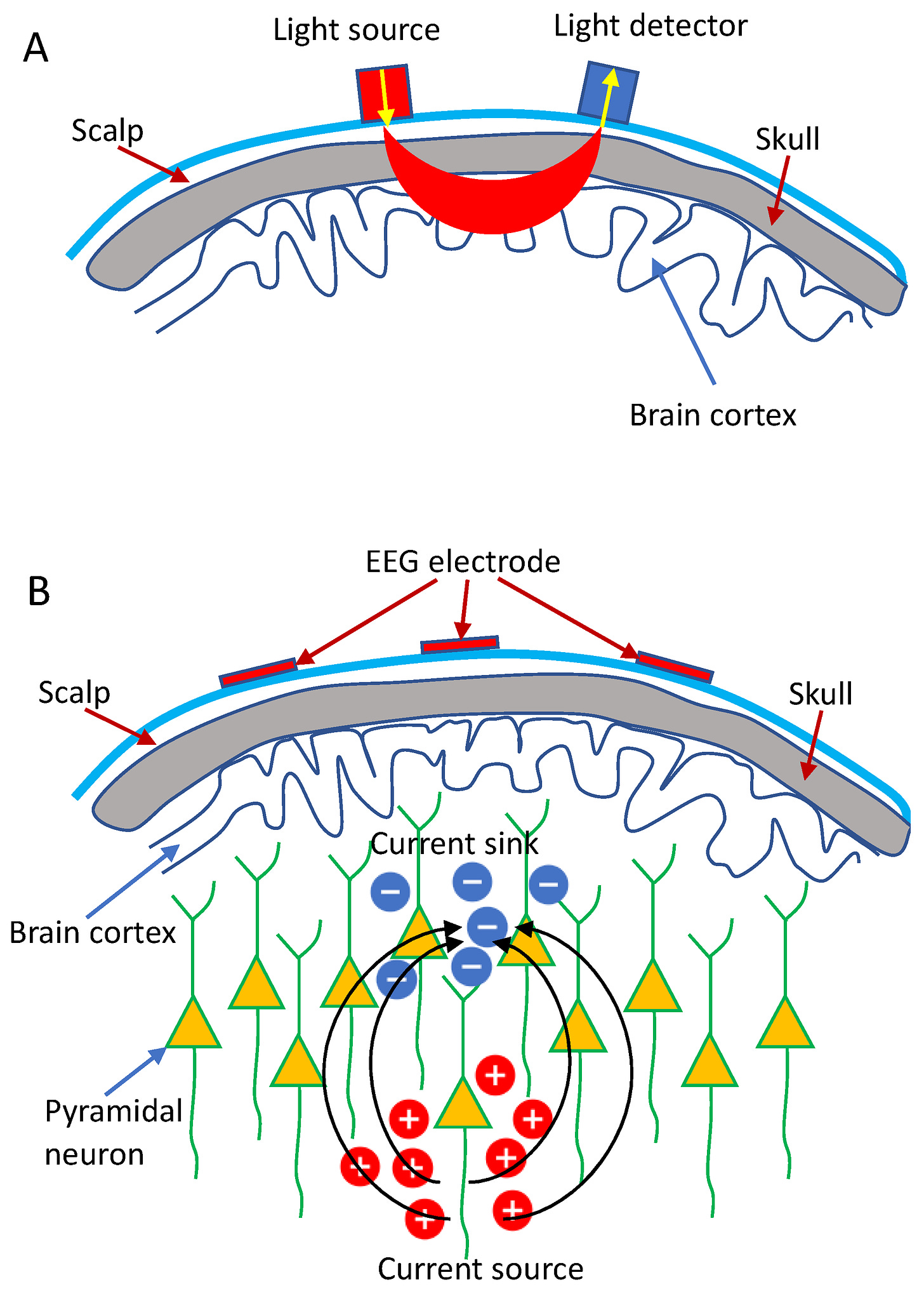 Sensors | Free Full-Text | Concurrent fNIRS and EEG for Brain Function  Investigation: A Systematic, Methodology-Focused Review