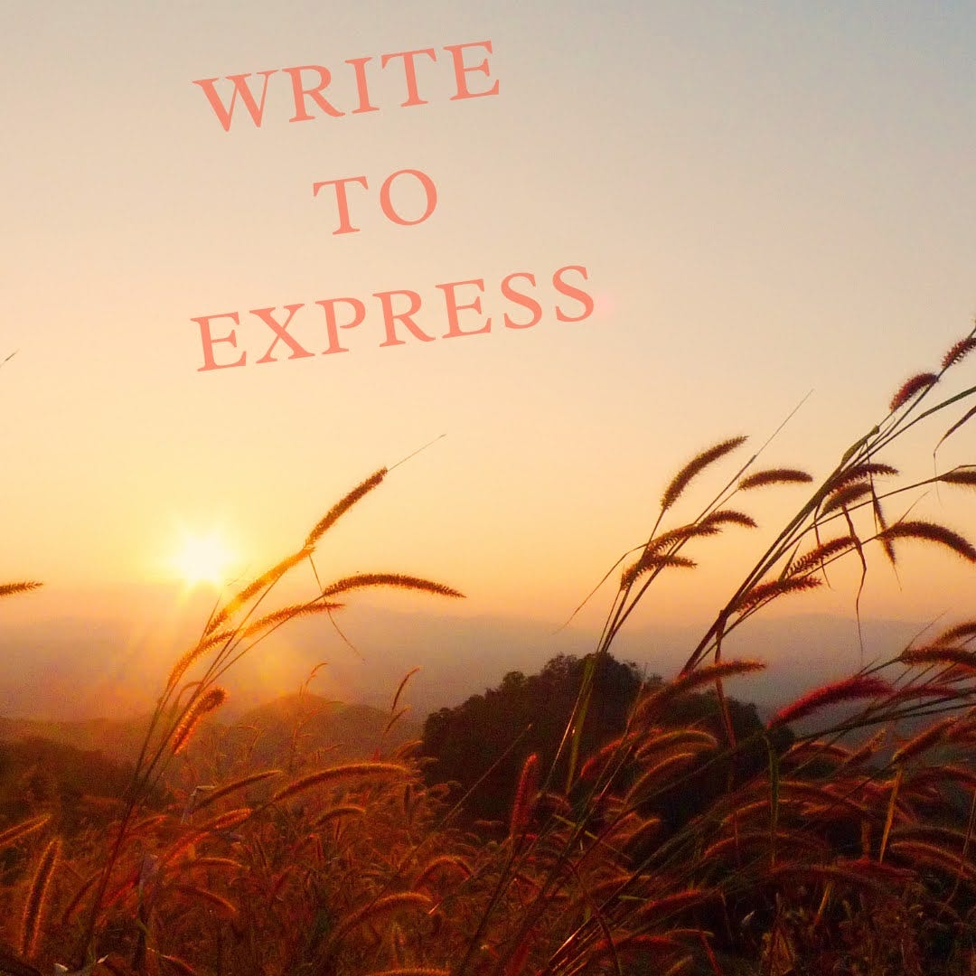 sunrise behind a wheat field