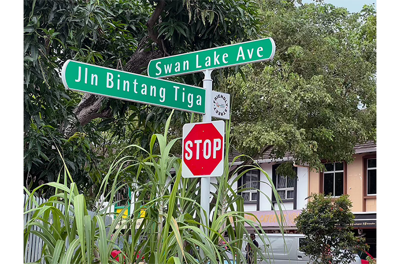 Swan Lake Ave