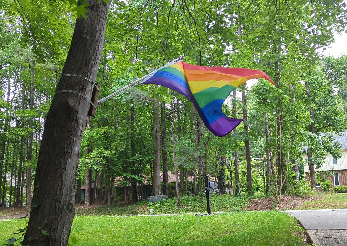 A pride flag flying in front of my home