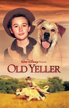 Image result for old yeller