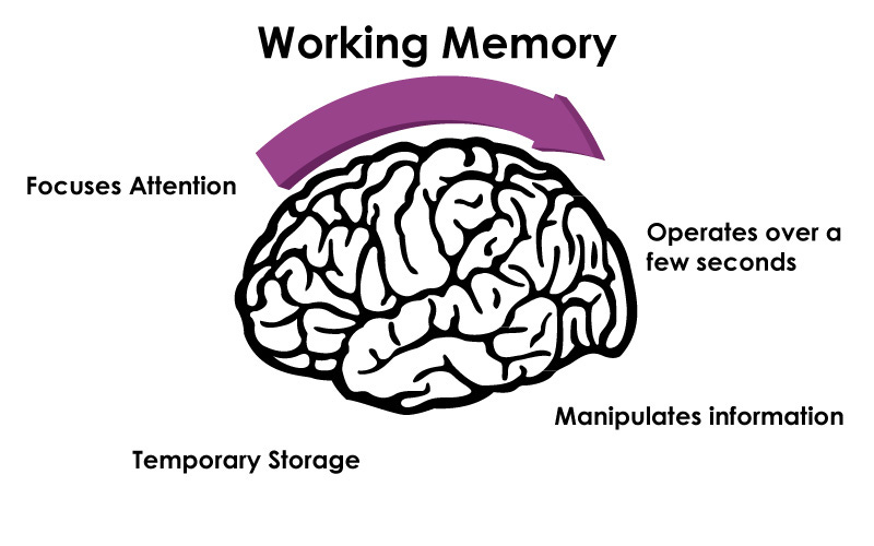 What is Working Memory? | PowerBrain RX