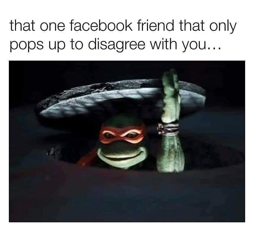 May be an image of turtle and text that says 'that one facebook friend that only pops up to disagree with you...'